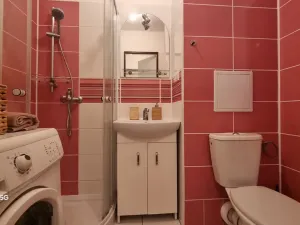 Pronájem bytu 1+kk, Pardubice - Polabiny, Brožíkova, 40 m2