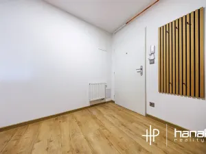 Pronájem bytu 1+kk, Olomouc, Ondřejova, 55 m2