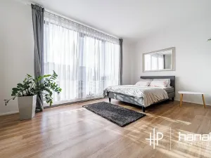 Pronájem bytu 1+kk, Olomouc, Dlouhá, 50 m2