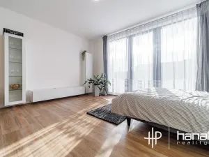 Pronájem bytu 1+kk, Olomouc, Dlouhá, 50 m2
