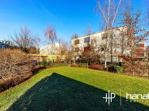 Pronájem bytu 1+kk, Olomouc, Dlouhá, 50 m2