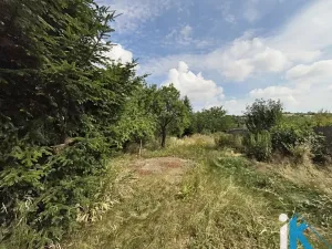 Prodej chalupy, Dzbel, 85 m2