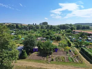 Pronájem bytu 1+1, Podbořany, Sídliště Míru, 37 m2