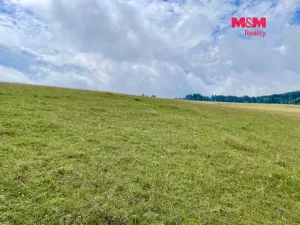 Prodej louky, Bartošovice v Orlických horách, 22170 m2