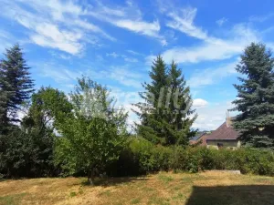 Pronájem bytu 3+1, Náměšť nad Oslavou, Zborovská, 59 m2