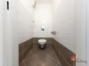 Pronájem bytu 2+1, Brno - Staré Brno, Křídlovická, 54 m2