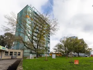 Pronájem bytu 2+1, Brno - Staré Brno, Křídlovická, 54 m2