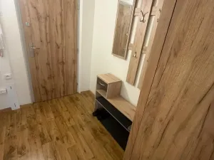 Prodej bytu 2+kk, Most, Františka Malíka, 39 m2