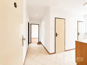 Pronájem bytu 3+1, Březová, Okružní, 56 m2