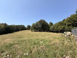 Prodej chaty, Zábřeh - Pivonín, 60 m2