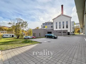 Pronájem bytu 2+kk, Jihlava, Křižíkova, 96 m2