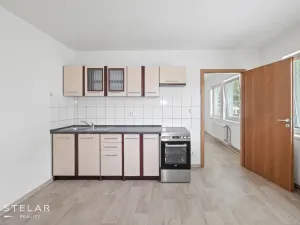 Pronájem bytu 1+1, Dolní Rožínka, 42 m2