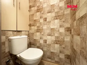 Pronájem bytu 1+1, Horní Slavkov, U Lesoparku, 35 m2