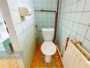 Prodej rodinného domu, Bělá nad Radbuzou, Školní, 186 m2