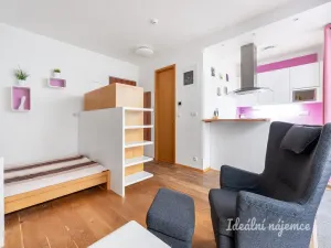 Pronájem bytu 1+kk, Praha - Vinohrady, Uruguayská, 47 m2