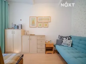 Prodej vícegeneračního domu, Lhenice, Netolická, 335 m2