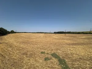 Prodej zahrady, Ořechov, 500 m2