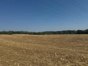 Prodej zahrady, Ořechov, 500 m2