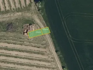 Prodej sadu/vinice, Vracov, 912 m2