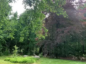 Prodej pozemku pro bydlení, Mařenice, 1610 m2