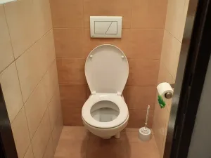 Pronájem pokoje, Mladá Boleslav, Jilemnického, 10 m2