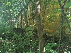 Prodej rodinného domu, Kozlovice, 75 m2
