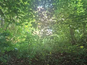 Prodej rodinného domu, Kozlovice, 75 m2