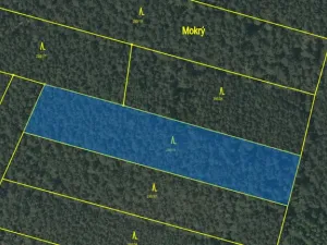 Prodej lesa, Chlumany, 4760 m2