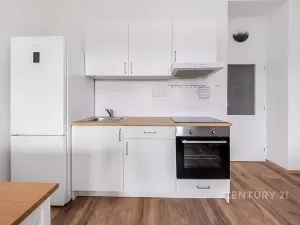 Pronájem bytu 2+kk, Praha - Nusle, K podjezdu, 55 m2