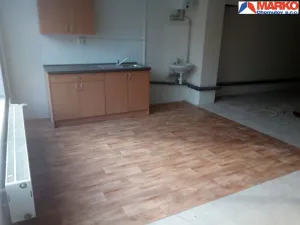Pronájem obchodního prostoru, Chomutov, Školní pěšina, 511 m2
