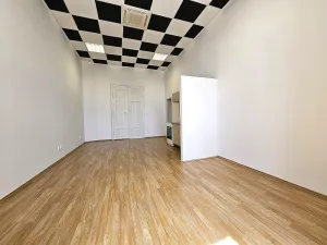 Pronájem bytu 1+kk, Brno, Masarykova, 33 m2