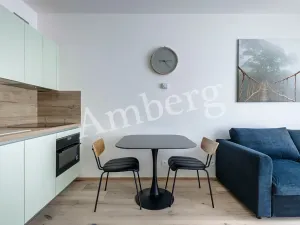 Pronájem bytu 1+kk, Praha - Karlín, Sokolovská, 28 m2