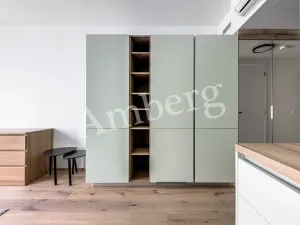 Pronájem bytu 1+kk, Praha - Karlín, Sokolovská, 28 m2