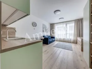 Pronájem bytu 1+kk, Praha - Karlín, Sokolovská, 28 m2