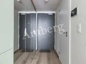 Pronájem bytu 1+kk, Praha - Karlín, Sokolovská, 28 m2