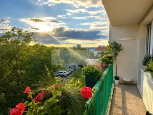 Prodej bytu 3+kk, Praha, Na sádce, 80 m2