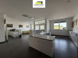 Pronájem výrobních prostor, Týn nad Vltavou - Malá Strana, Průmyslová, 2142 m2