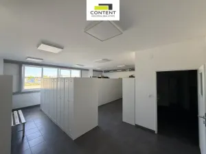 Pronájem výrobních prostor, Týn nad Vltavou - Malá Strana, Průmyslová, 2142 m2
