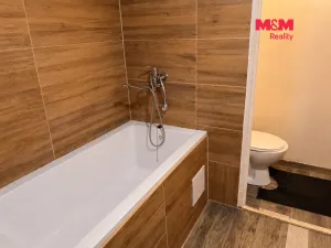 Prodej bytu 1+1, Ústí nad Labem - Mojžíř, Jindřicha Plachty, 35 m2