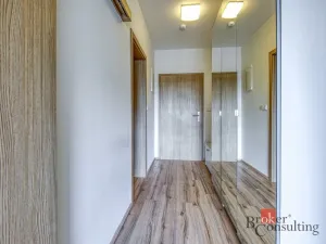 Pronájem bytu 2+kk, Plzeň - Severní Předměstí, Pod Všemi svatými, 74 m2