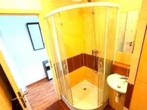 Pronájem bytu 1+1, Cheb, Dvořákova, 39 m2
