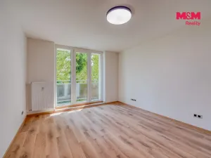 Prodej bytu 3+kk, Plzeň - Lobzy, Partyzánská, 60 m2
