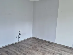 Pronájem bytu 1+1, Děčín - Děčín VI-Letná, 43 m2