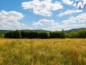 Prodej pozemku pro bydlení, Zdíkov, 1563 m2