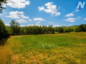 Prodej pozemku pro bydlení, Zdíkov, 1563 m2