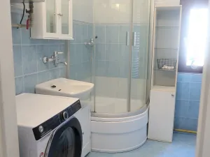 Pronájem rodinného domu, Brandýsek - Olšany, Olšanská I, 100 m2