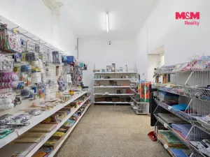 Prodej rodinného domu, Lužná, Čsl. armády, 280 m2