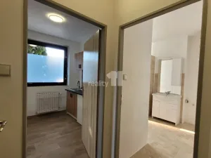 Pronájem bytu 1+1, Týnec nad Labem, Lžovická, 32 m2