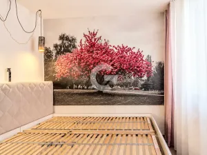Pronájem bytu 3+1, Zlín, Česká, 69 m2