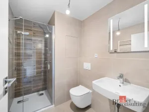 Pronájem bytu 1+kk, Plzeň - Jižní Předměstí, Železná, 26 m2